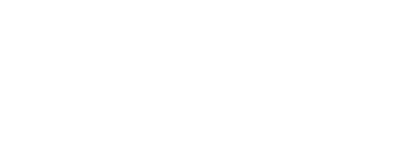国际护照 德国护照 - 海龟VPN